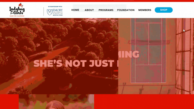 Homepage video banner